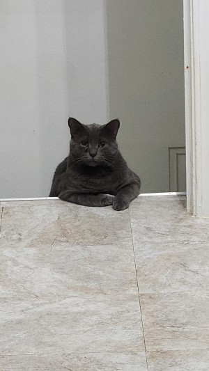 Photo of Jasper