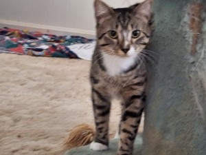 Photo of Strike