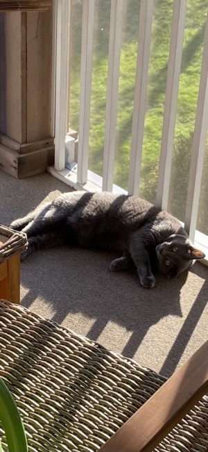 Photo of GrayV