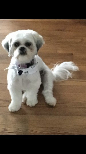 Photo of Zoe