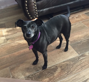 Photo of Sophie