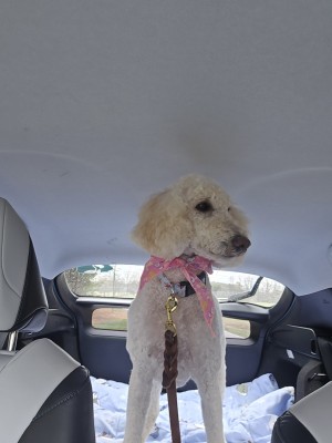 Photo of Estelle