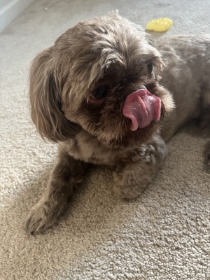 Photo of Marlo