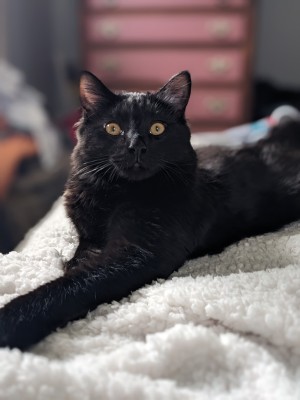 Photo of Pepper Cornelius