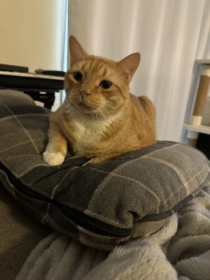 Photo of Rowan