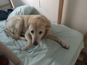 Photo of Zoe