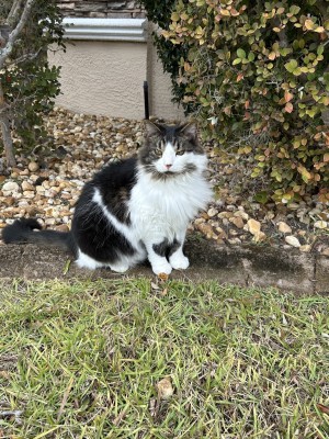 Photo of Sammy