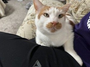 Photo of Charley