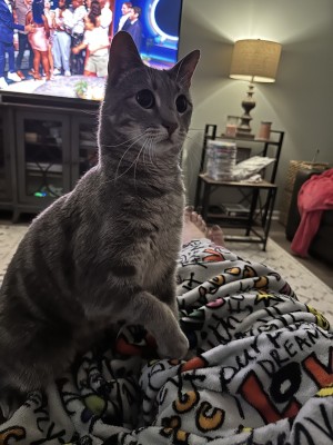 Photo of Ollie