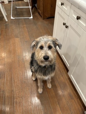 Photo of Butter