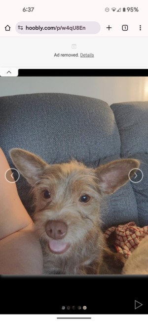 Photo of Coco