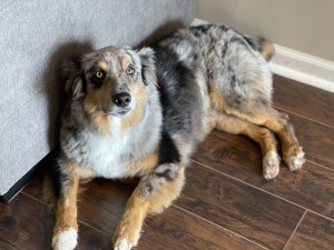 Photo of Stetson