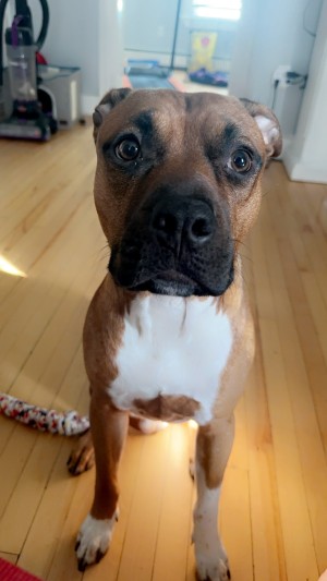 Photo of Kai