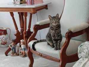 Photo of Maxine