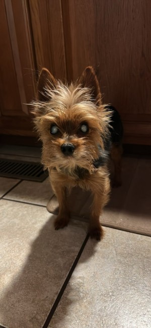 Photo of Toby Leo