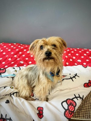 Photo of Brody