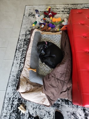 Photo of Arwen