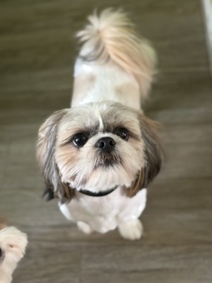 Photo of Chase