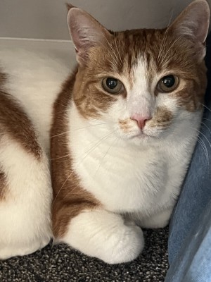 Photo of Ruby