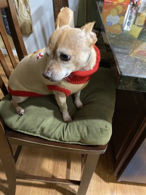 Photo of Finneas