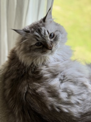Photo of Makism (Max)