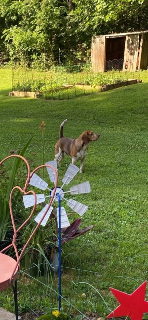 Photo of Fred