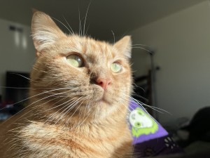 Photo of Sonny