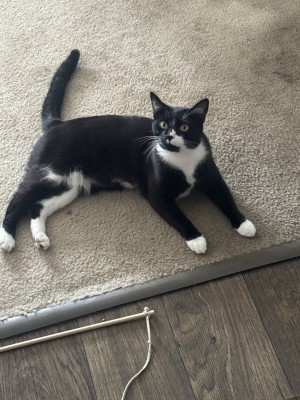 Photo of Mona