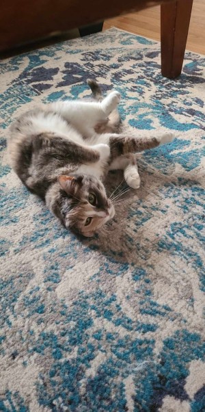 Photo of Meela