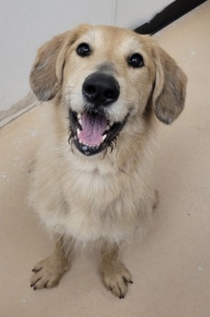 Photo of Nala