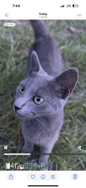 Photo of Evie