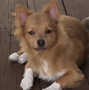Photo of Charlie