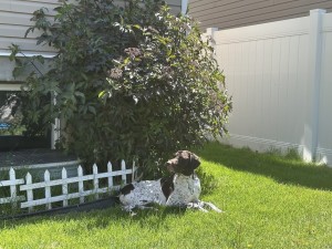 Photo of Cisco