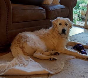 Photo of Maggie