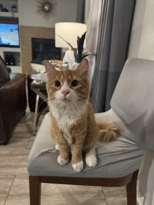 Photo of Gucci
