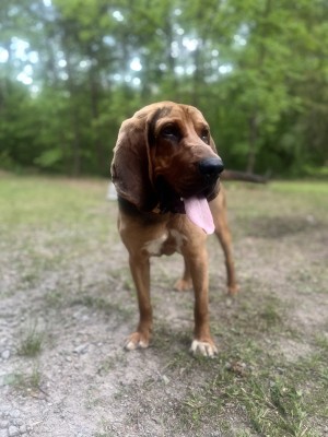 Photo of Duke