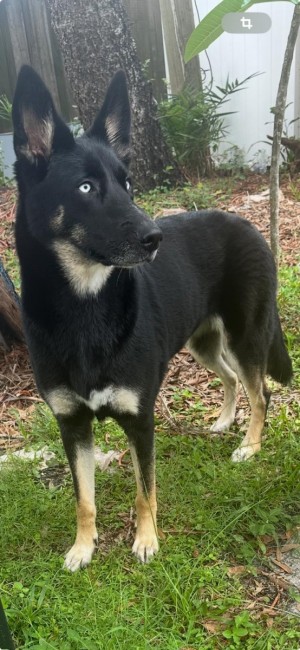 Photo of Storm