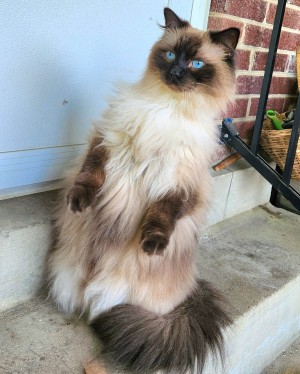 Photo of Jasper
