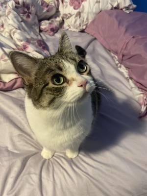 Photo of Luna