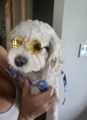 Photo of Betty