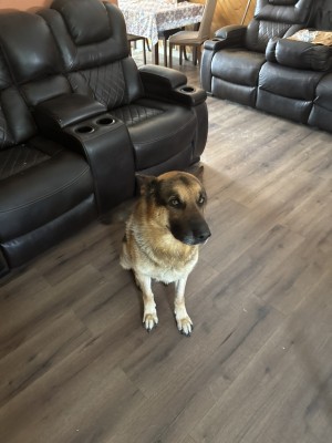 Photo of Duke