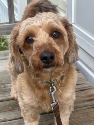 Photo of Rocket