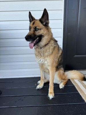 Photo of Nova