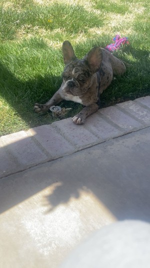 Photo of Kash