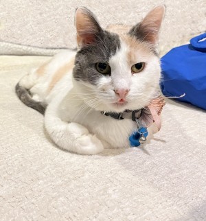 Photo of Cassie
