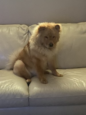 Photo of Teddy