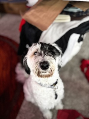 Photo of Aspen