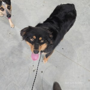Photo of Thelma