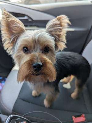Photo of Frank