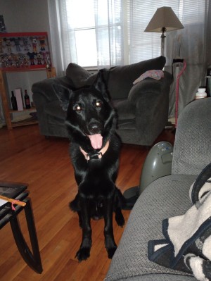 Photo of Zeus